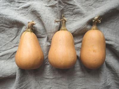 COURGE butternut