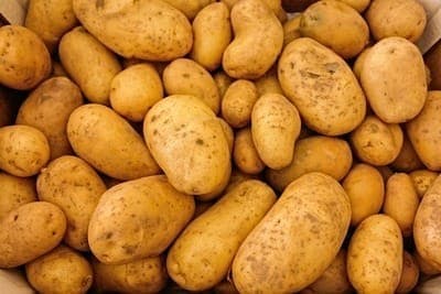 Pommes de terre ALOUETTE