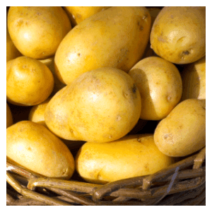 pomme de terre