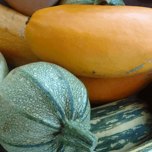 courgette (plus d'un kilo)