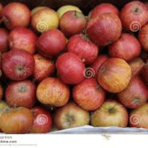 pomme cox's