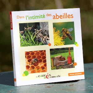 K) "Dans l'intimité des abeilles" le livre