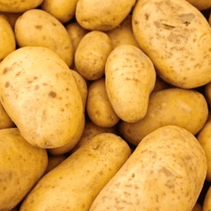 Pomme de terre Bio