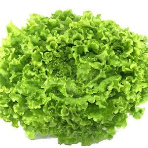 salade Bio