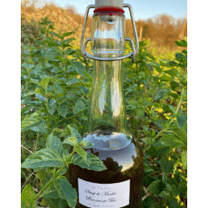 Sirop de menthe-bergamote