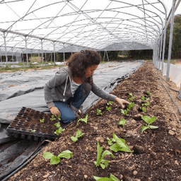 La Ferme des Tuileries #6