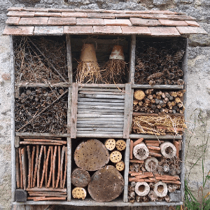 LA FERME DE BORD