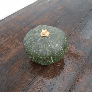 Courge Buttercup