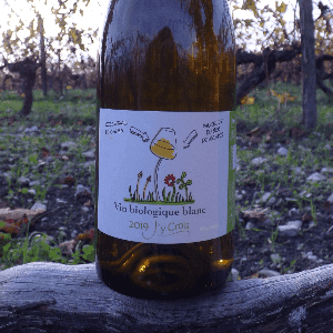 Vin blanc  J'y crois  – bouteille