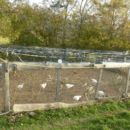 La Ferme Buissonnière #8