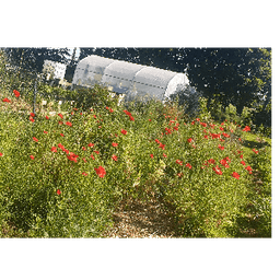 Les Jardins de Louise #7