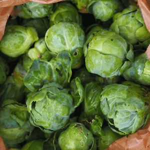 CHOUX DE BRUXELLES