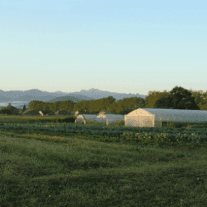 Ferme Loustau