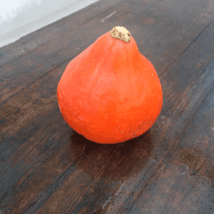 Courge Potimarron