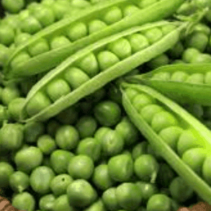 petit pois