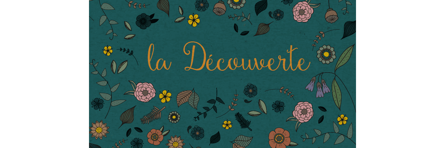 Bannière de La découverte