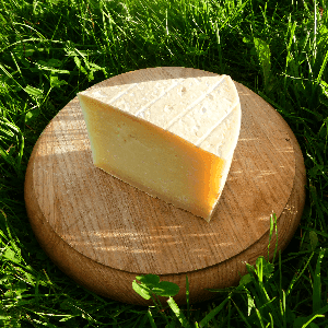 Tomme de chèvre de Montgrieu