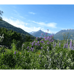 La ferme du Sarrat #3