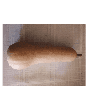 butternut