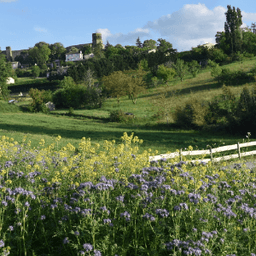 Logo de Les jardins de Verfeil - retrait à la ferme