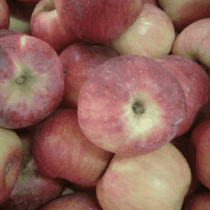 Pomme rouge et craquante juteuse extra (juliet)
