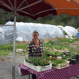 Le Jardin du Bardérou - Plants de légumes, fleurs et aromates - Lau-Balagnas #4