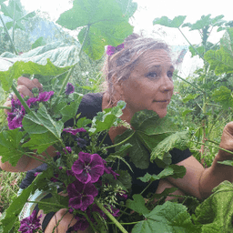 Le Jardin du Bardérou - Plants de légumes, fleurs et aromates - Lau-Balagnas #1