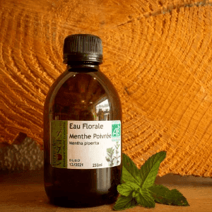 hydrolat de Menthe poivrée