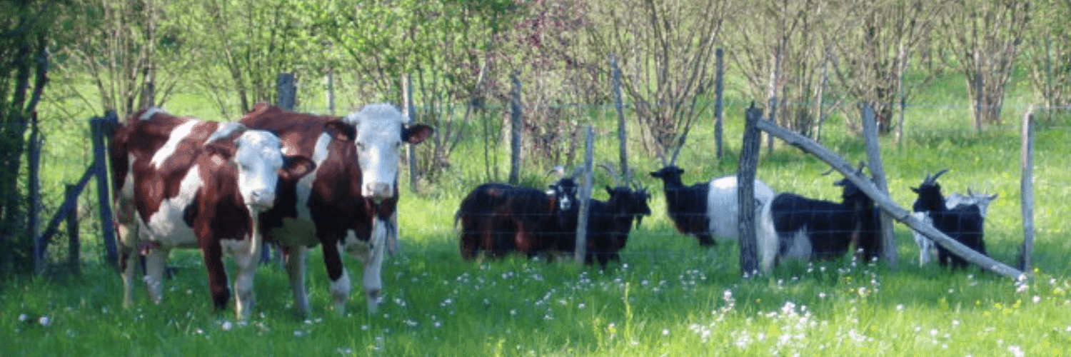 Bannière de Ferme de Visargent