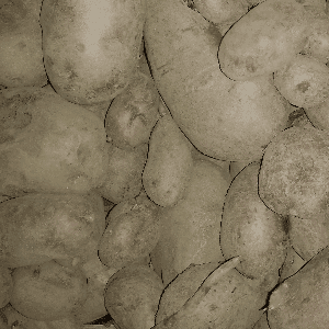 Pomme de terrechair tendre