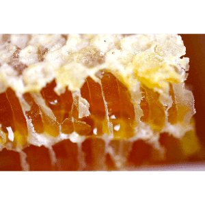 Miel de sapin bio en rayon