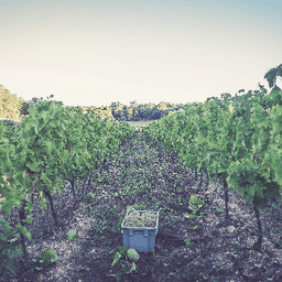 Domaine Le Crouzet #4