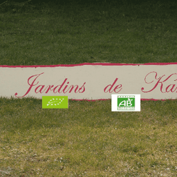 LES JARDINS DE KARINE #1