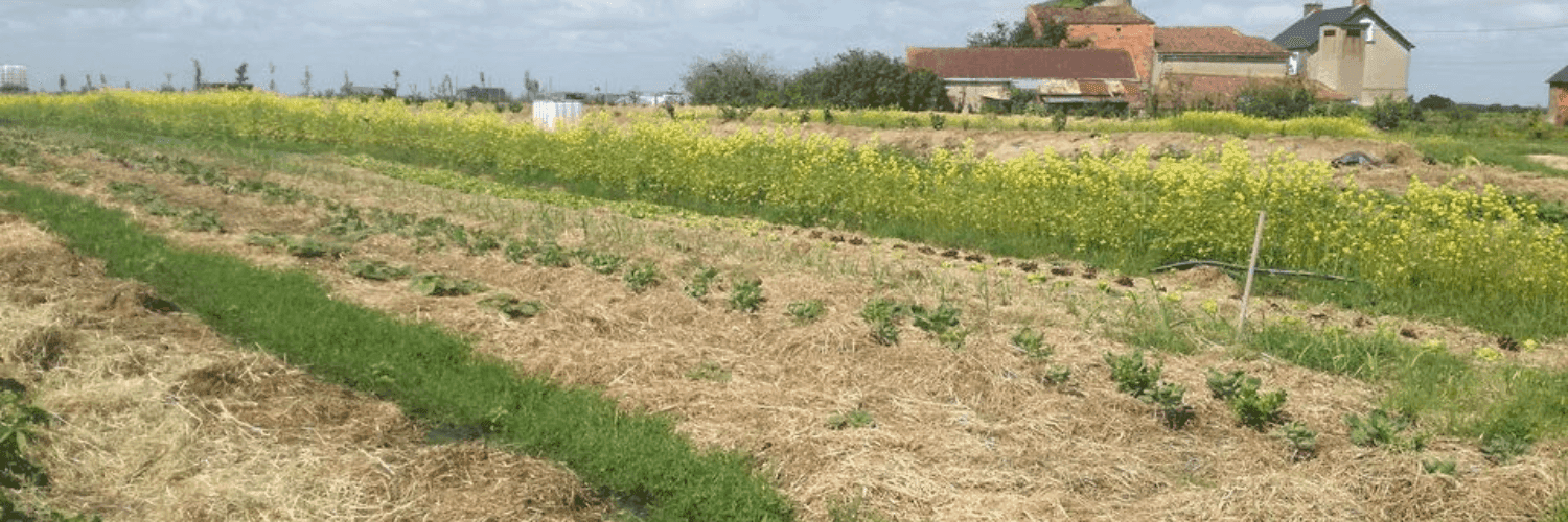 Bannière de Ferme Beau Soleil
