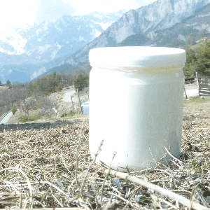 Fromage Blanc de Brebis  au lait cru