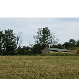 Ferme Montplaisir Bio #6