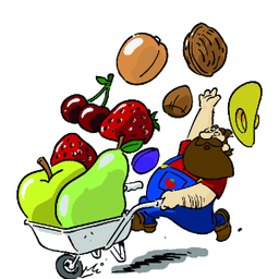Logo de La cagette BIO de la ferme Rongo
