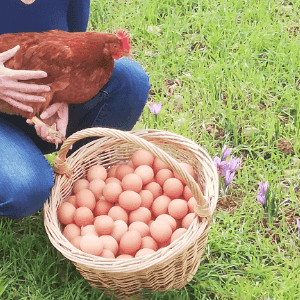 6 œufs fermiers