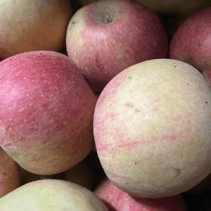 Pomme fuji