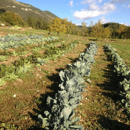 Ferme des Bourfiers #6