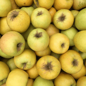 Pomme Opale