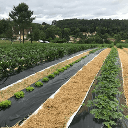 La Ferme de Marcel #7