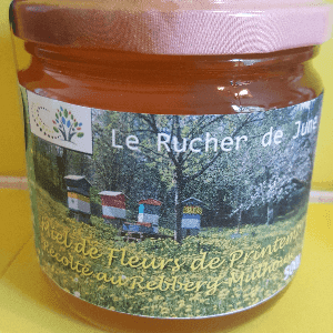 Miel IGP Alsace Fleurs printemps quartier Rebberg-Mulhouse 500g