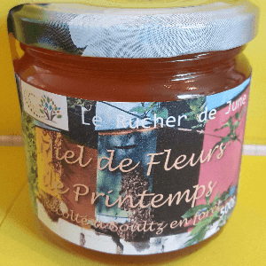 Miel IGP Alsace Fleurs printemps Soultz 500g