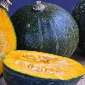 Potimarron Kabocha