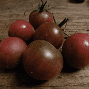 Tomate Cerise Black Cherry