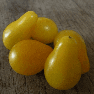 Tomate Cerise Poire Jaune