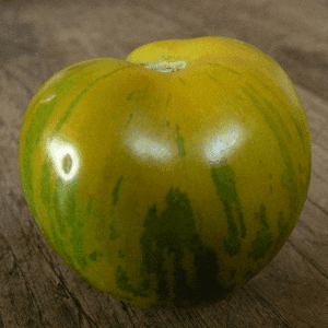 Tomate Green Zebra