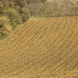 La ferme du Salet #5