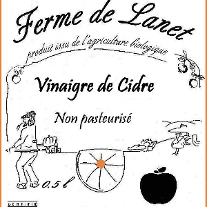 Vinaigre de cidre BIO / bouchon verseur